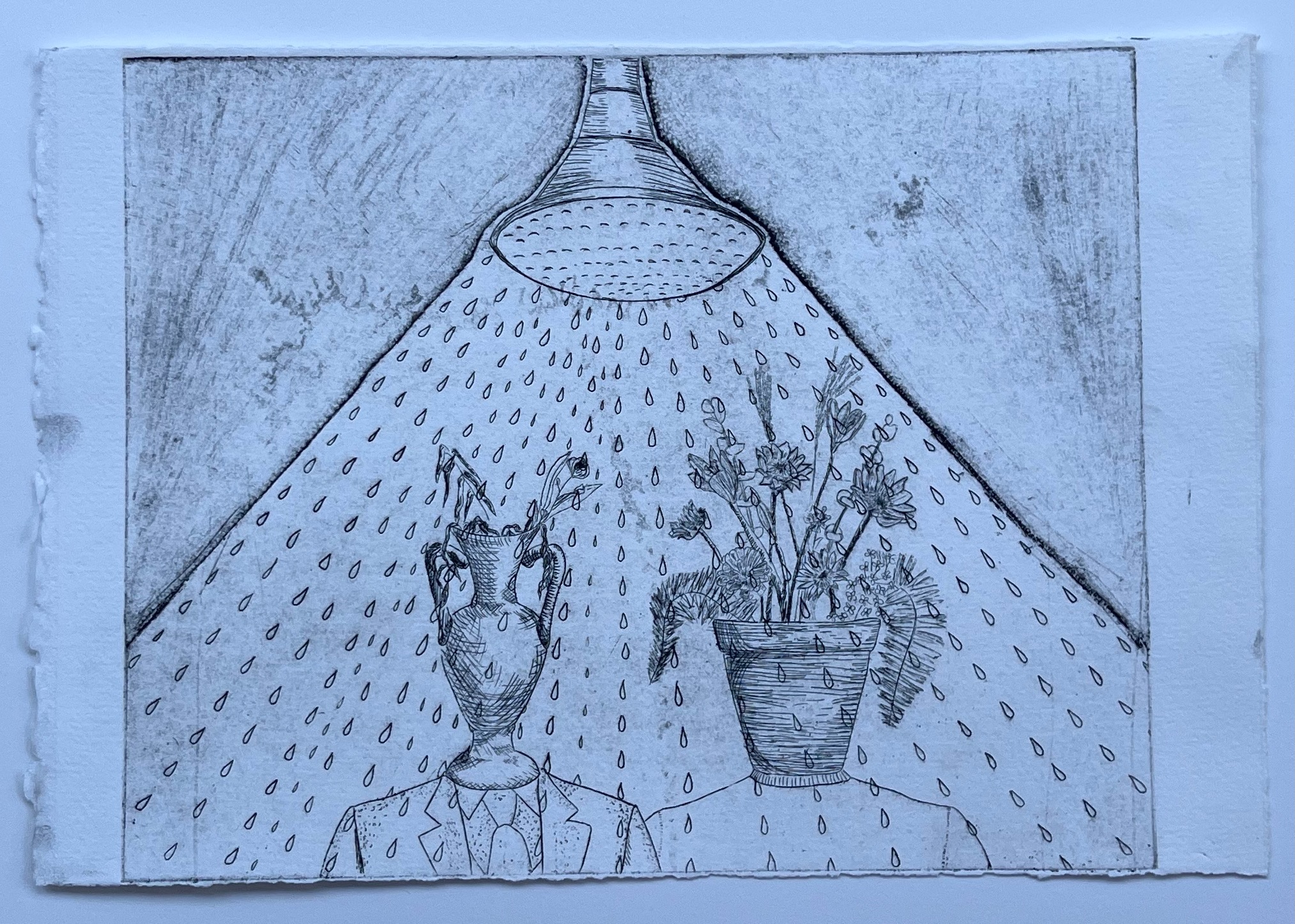 Over watered