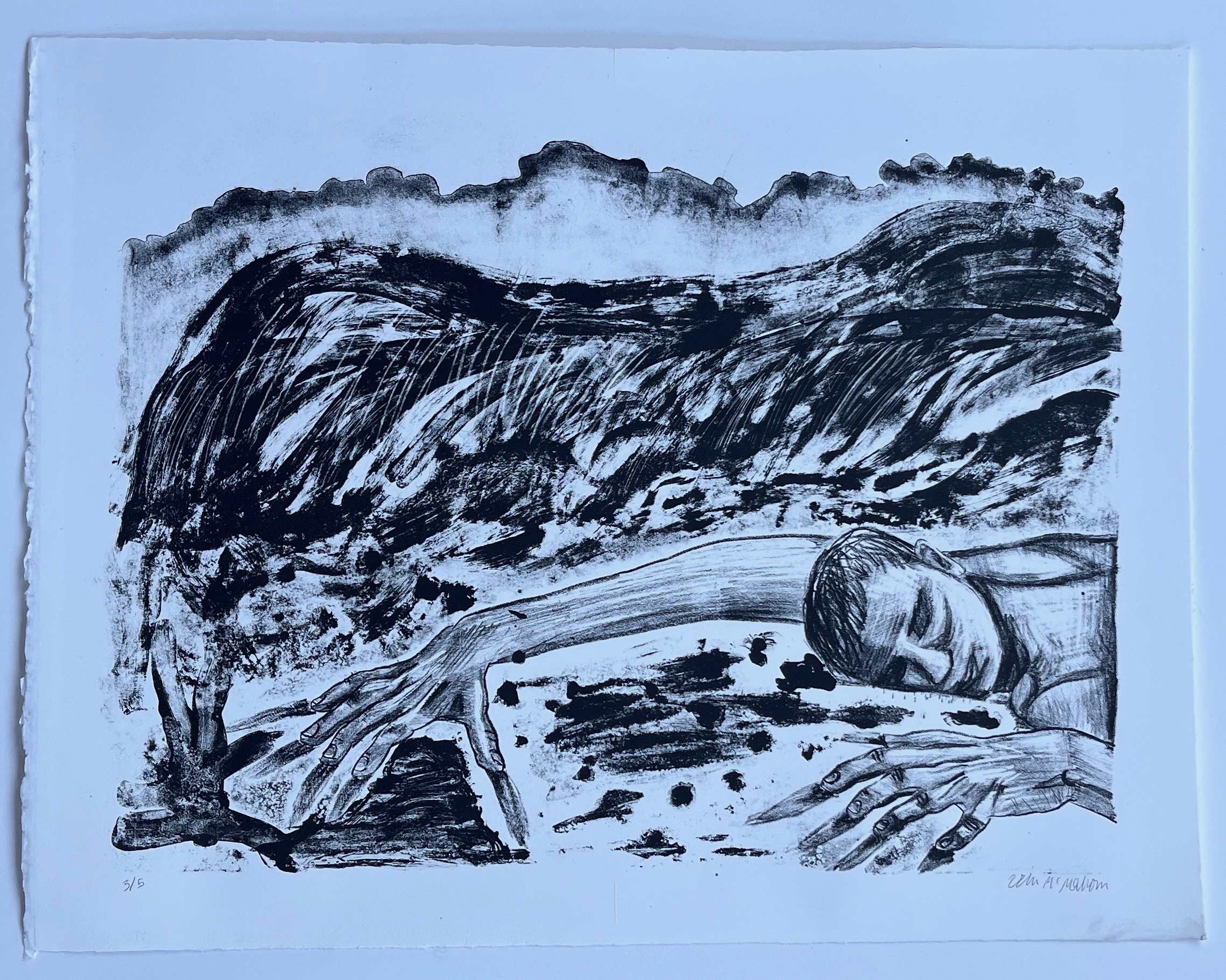 Washed ashore